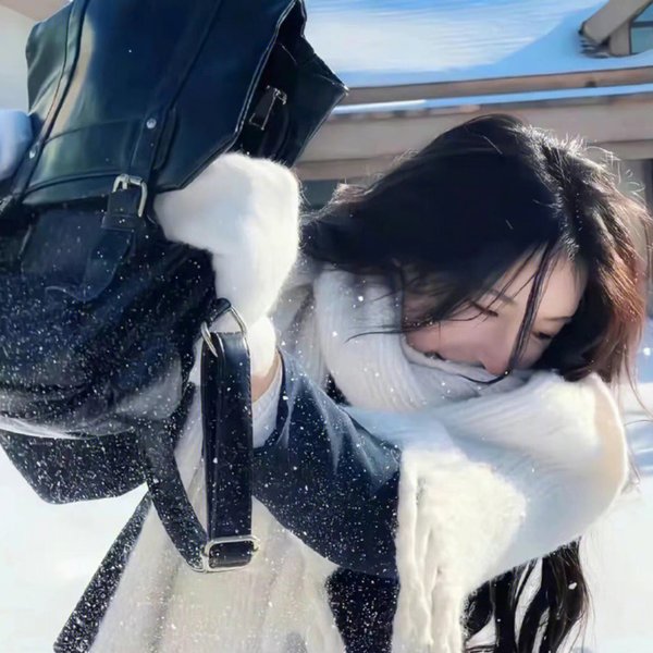 彩凤笙歌